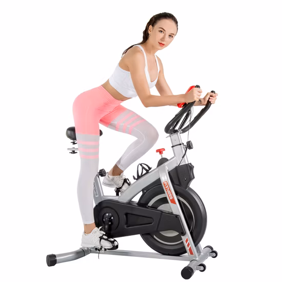 Spinning Bike professionale per uso domestico