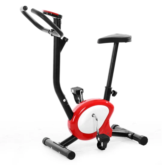 Palestra domestica Fitness indoor Cyclette X Belt Bike Bici magnetica con pedali Attrezzatura sportiva Cintura di trasmissione Uso domestico Spin Bike Resistenza Ciclismo